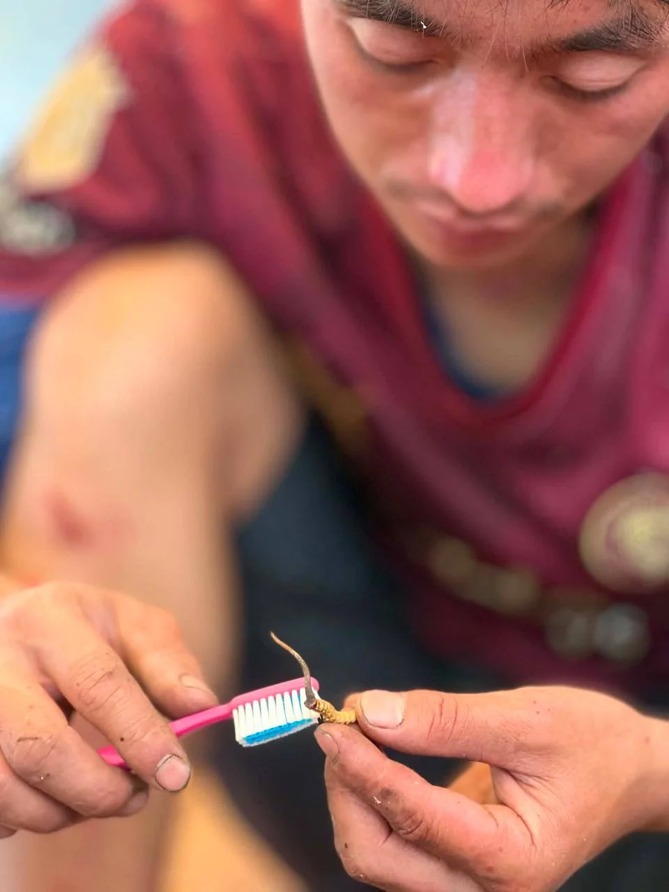 A guide-hunter cleaning a specimen with a small brush.